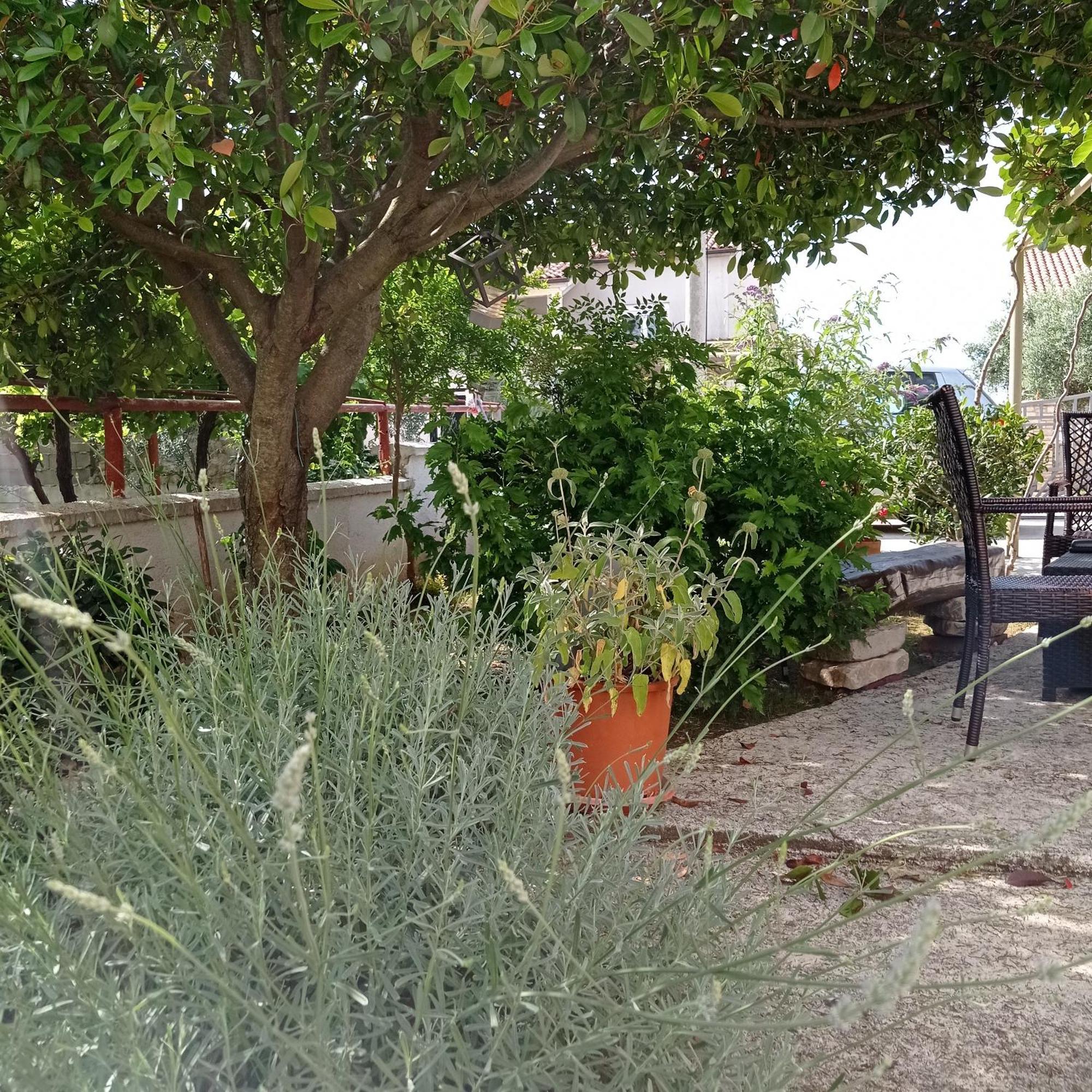 Apartments Anica PUY Exterior foto